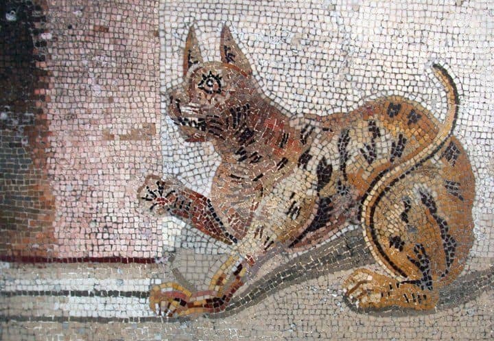 Il gatto al tempo dei Romani